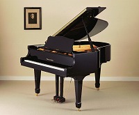 ウイスタリア　グランドピアノ　G176B