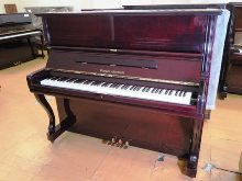 ウイスタリア RU30M/60038