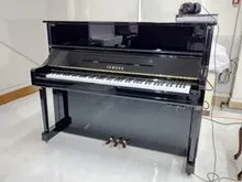 ヤマハ(YAMAHA) YU1SXGZ